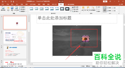 怎么裁剪2016版MS ppt中插入的图片