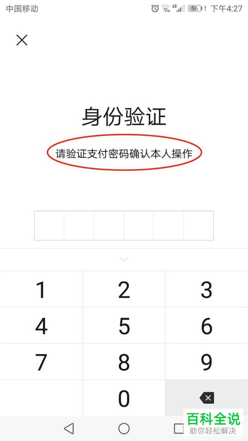 怎么查看自己的微信支付分