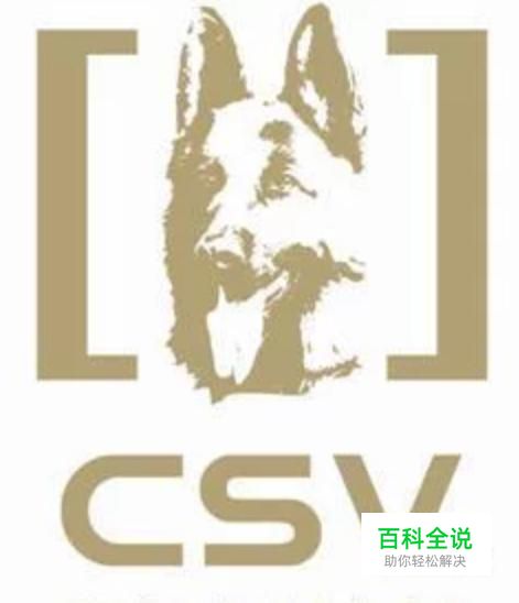 怎么创建CSV文件和怎么打开CSV文件