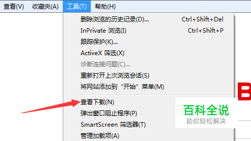 怎么查看IE浏览器下载文件
