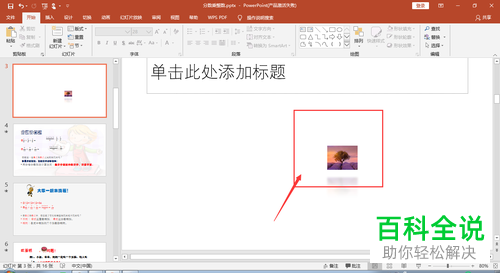 怎么裁剪2016版MS ppt中插入的图片