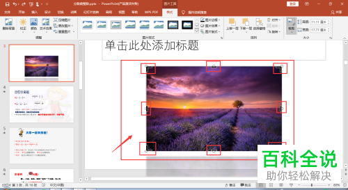 怎么裁剪2016版MS ppt中插入的图片