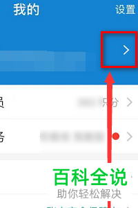 怎么查看支付宝贷款信息