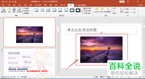 怎么裁剪2016版MS ppt中插入的图片