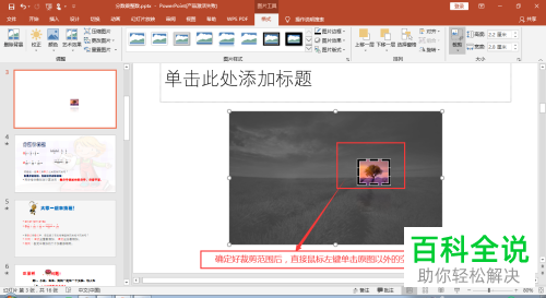怎么裁剪2016版MS ppt中插入的图片