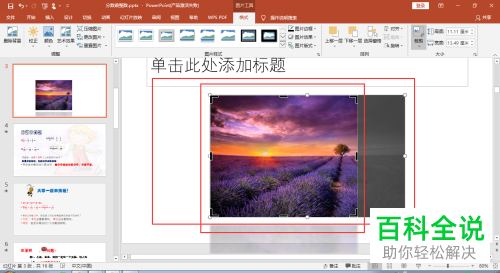 怎么裁剪2016版MS ppt中插入的图片