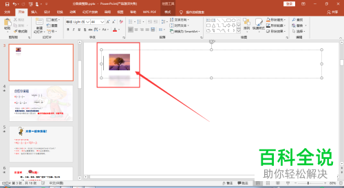 怎么裁剪2016版MS ppt中插入的图片