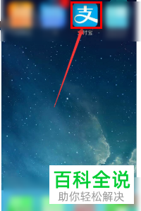 怎么查看支付宝贷款信息