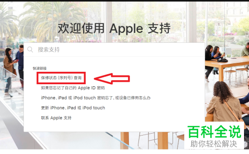 怎么查看iPhone苹果手机的真伪以及是否是翻新机