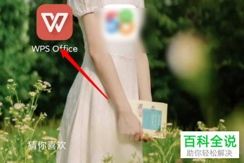 怎么打开手机版wps的密码锁定功能