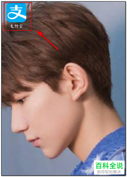 怎么调整手机支付宝内花呗的额度