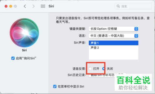 怎么打开Mac系统中的Siri语音反馈功能？