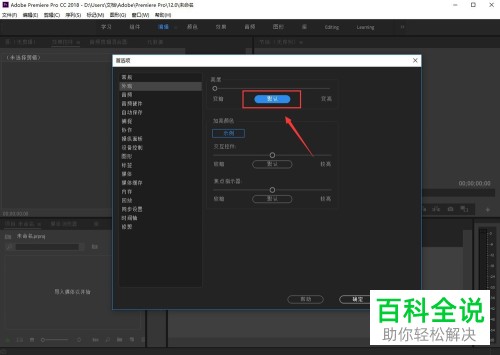 怎么调节Pr外观亮度