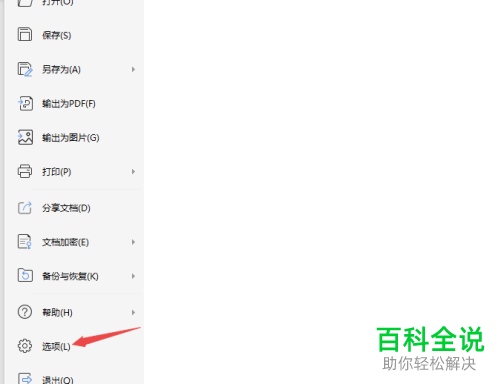 怎么打开WPS2019的文字段落标记功能