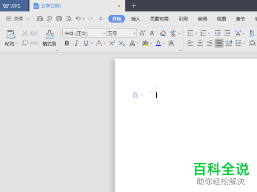 怎么打开WPS2019的文字段落标记功能