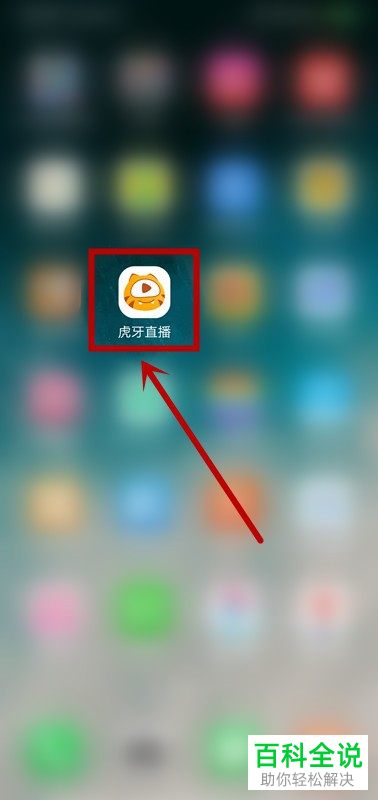 怎么打开手机版虎牙直播的登录保护功能