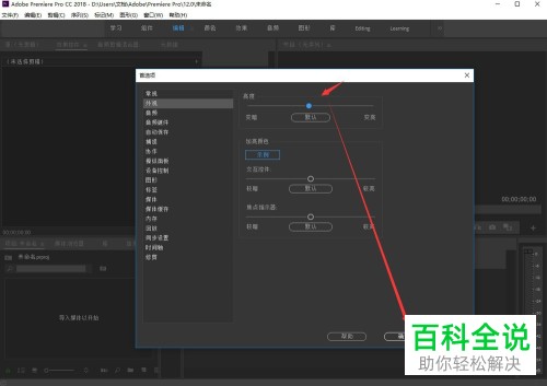 怎么调节Pr外观亮度