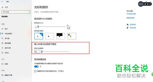 怎么对电脑键入时光标的大小进行调整