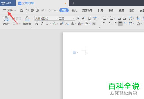 怎么打开WPS2019的文字段落标记功能