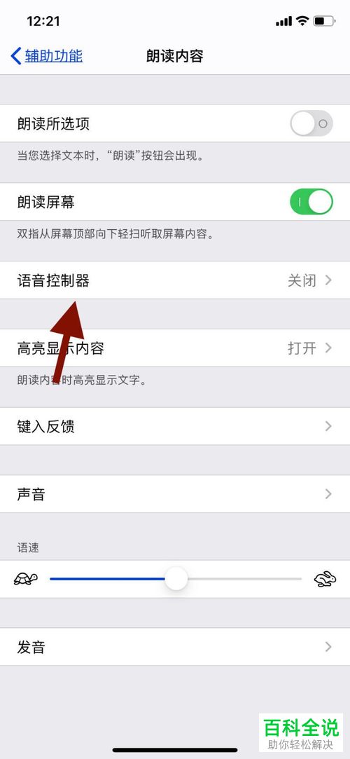 怎么打开iPhone手机语音控制器