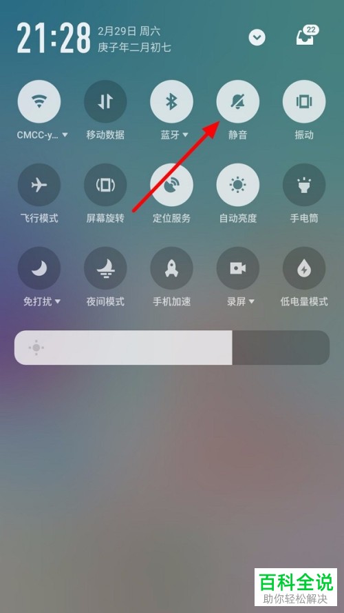 怎么对zoom进行静音处理