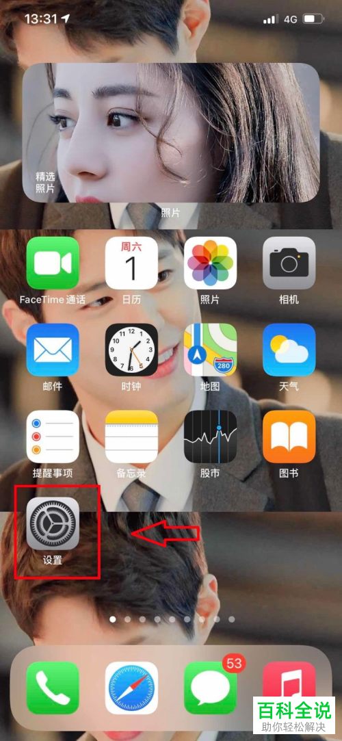 怎么更改苹果设备中safari浏览器内的搜索引擎