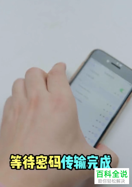 怎么共享iPhone苹果手机内的WiFi密码