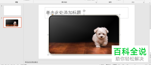 怎么给PPT文档中的图片添加相框效果