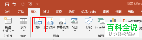 怎么给PPT文档中的图片添加相框效果