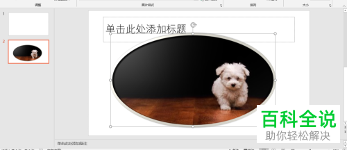 怎么给PPT文档中的图片添加相框效果