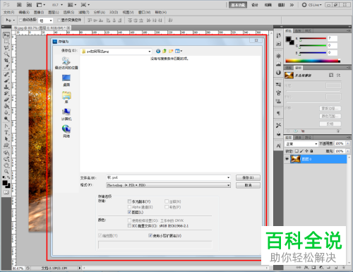 怎么给PS软件设置导出png格式图片