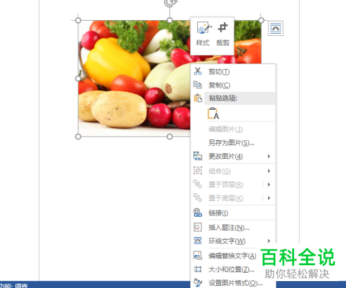 怎么给Word文档中插入的图片调整透明度