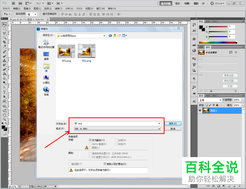怎么给PS软件设置导出png格式图片