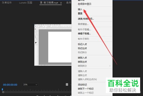 怎么给PR的源监视器插入素材