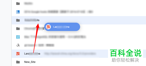 怎么管理mac版的chrome浏览器文件夹与网址
