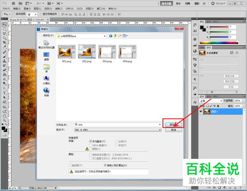 怎么给PS软件设置导出png格式图片