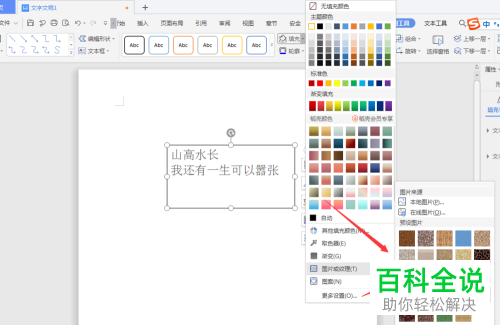 怎么给WPS文档插入的文本框设置填充纹理底色
