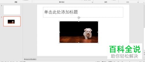 怎么给PPT文档中的图片添加相框效果