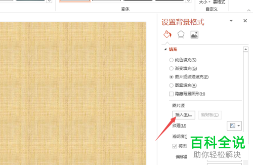 怎么给PPT文档设置背景图片