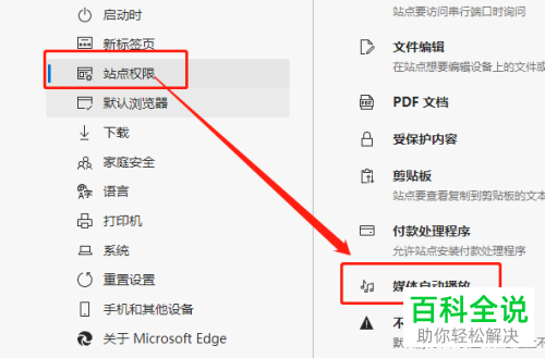怎么给Edge浏览器设置允许媒体自动播放