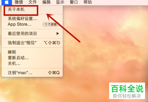 怎么给苹果电脑升级系统