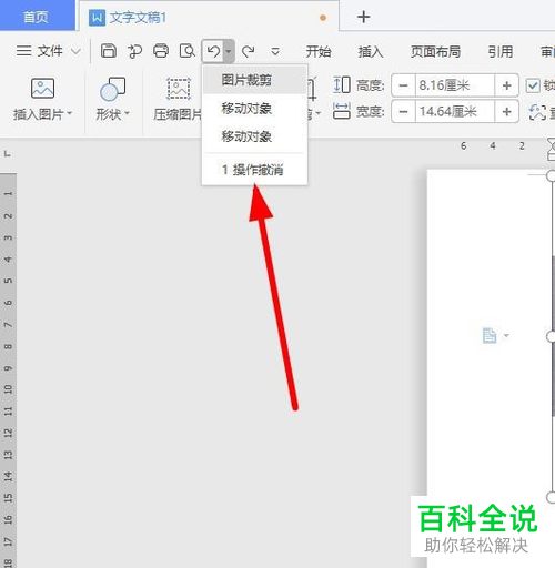 怎么恢复word文档中剪掉的图片