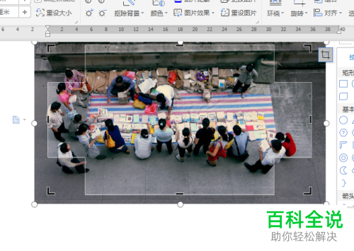 怎么恢复word文档中剪掉的图片