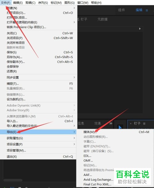 怎么将pr软件中的视频设置导出mp4格式