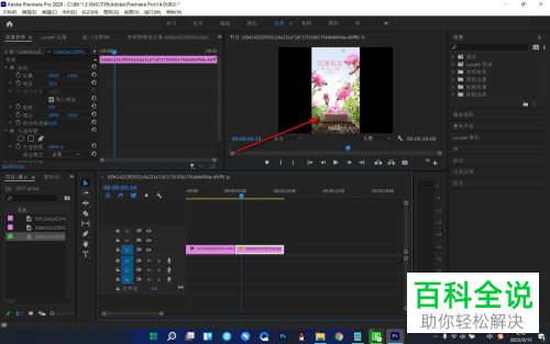 怎么解决Pr导入视频无法完整显示问题