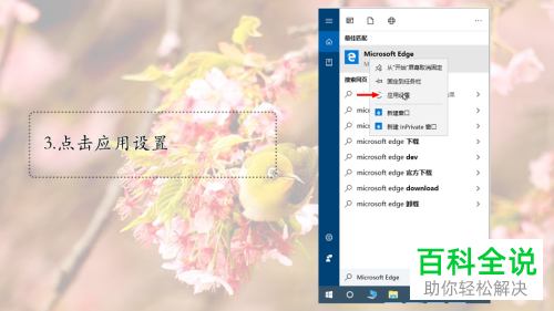 怎么解决win10系统Edge浏览器闪退问题