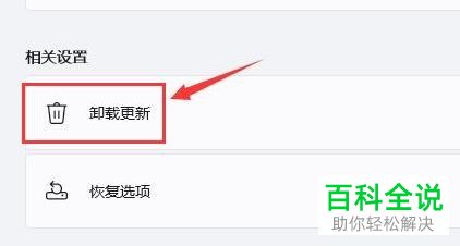 怎么解决Windows 11系统更新后自动闪屏问题