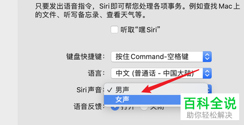 怎么将mac苹果电脑的语音助手siri设置为女声