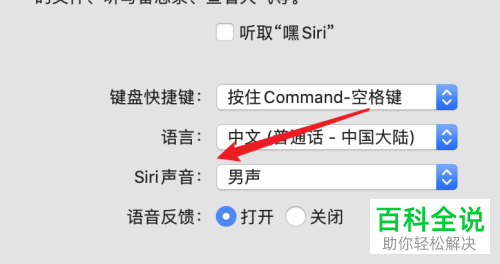 怎么将mac苹果电脑的语音助手siri设置为女声