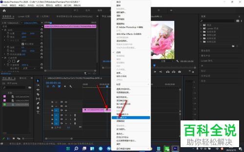 怎么解决Pr导入视频无法完整显示问题